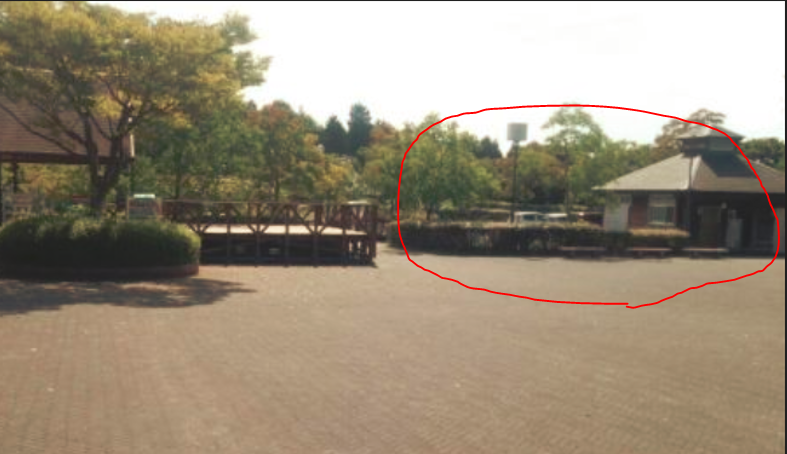 冬野心央 大学