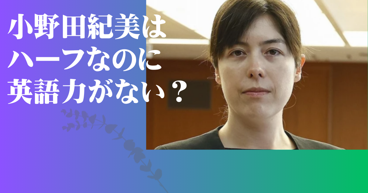 小野田紀美 英語力